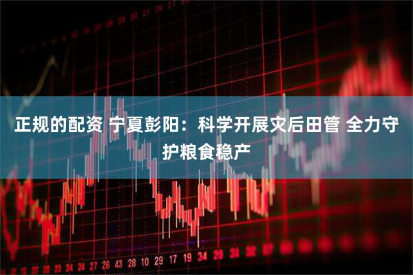 正规的配资 宁夏彭阳：科学开展灾后田管 全力守护粮食稳产